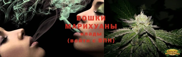 PSILOCYBIN Каменногорск